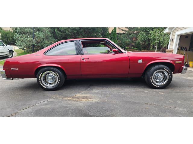 1979 Chevrolet Nova (CC-1749982) for sale in Belle Plaine, Minnesota, Minnesota
