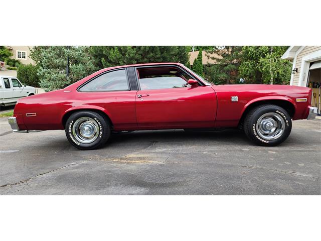 1979 Chevrolet Nova (CC-1749983) for sale in Belle Plaine, Minnesota, Minnesota