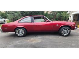1979 Chevrolet Nova (CC-1749983) for sale in Belle Plaine, Minnesota, Minnesota