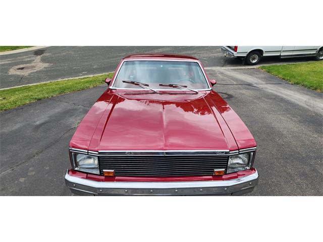 1979 Chevrolet Nova (CC-1749983) for sale in Belle Plaine, Minnesota, Minnesota