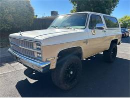 1982 Chevrolet Blazer (CC-1751577) for sale in Cadillac, Michigan