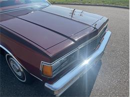 1978 Chevrolet Caprice (CC-1752053) for sale in Ramsey, Minnesota