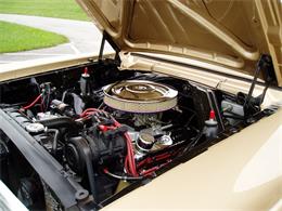 1964 Ford Falcon Futura (CC-1752104) for sale in hopedale, mass