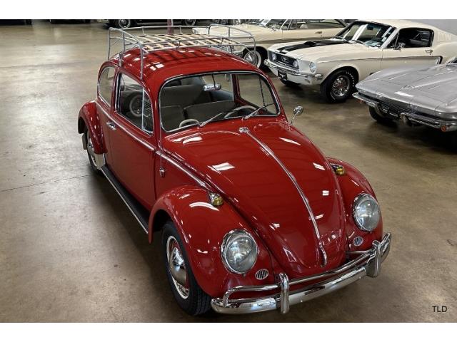 1965 Volkswagen Beetle for Sale