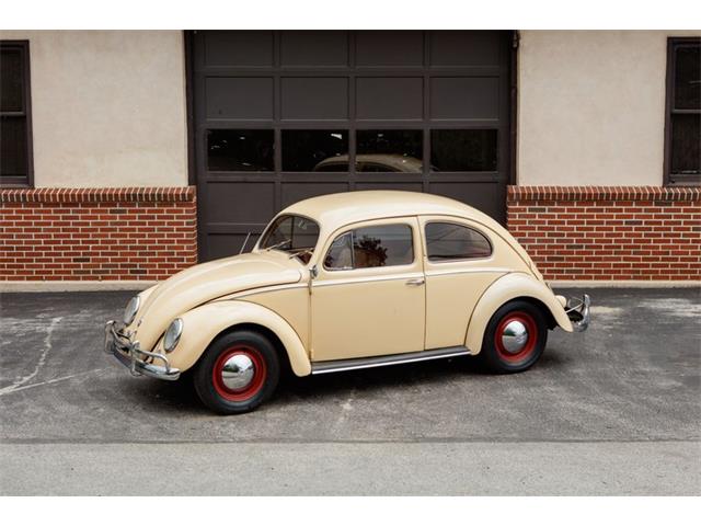 1954 Volkswagen Beetle (CC-1752667) for sale in Wayne, Pennsylvania