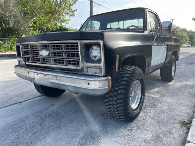 1980 Chevrolet K-10 (CC-1752821) for sale in Cadillac, Michigan