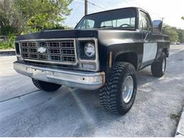 1980 Chevrolet K-10 (CC-1752821) for sale in Cadillac, Michigan