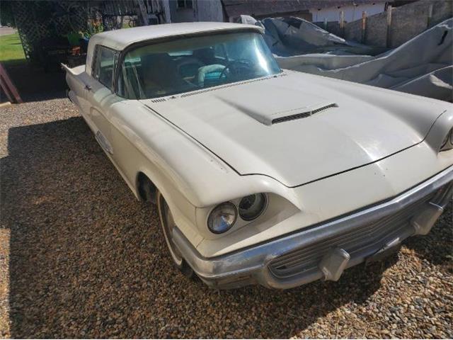 1959 Ford Thunderbird (CC-1752843) for sale in Cadillac, Michigan