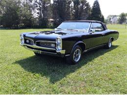 1967 Pontiac Tempest (CC-1752847) for sale in Cadillac, Michigan