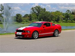 2007 Ford Mustang Shelby GT500 (CC-1753100) for sale in Winter Garden, Florida