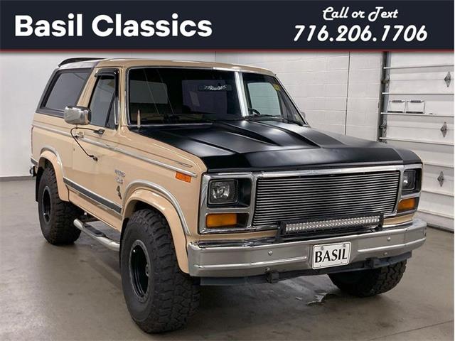 1983 Ford Bronco (CC-1753530) for sale in Depew, New York