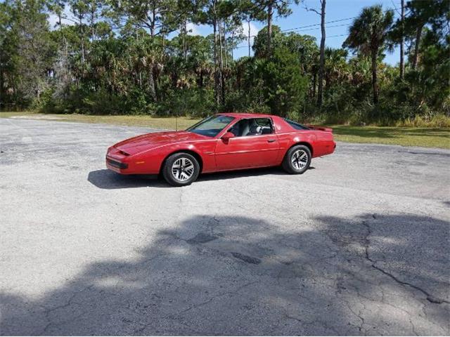 1987 Pontiac Firebird (CC-1750039) for sale in Cadillac, Michigan