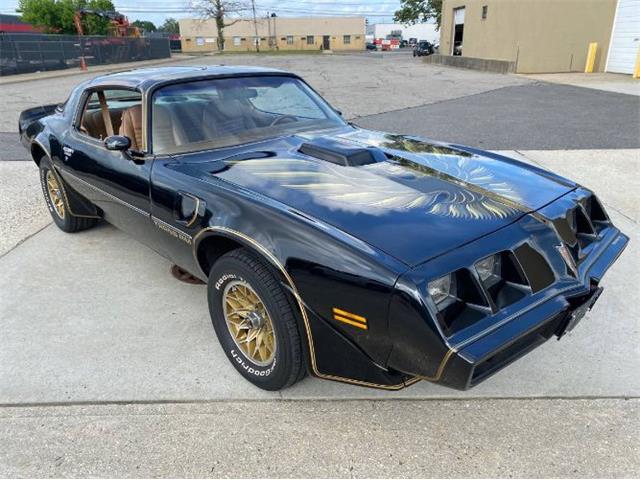 1979 Pontiac Firebird Trans Am (CC-1750399) for sale in Cadillac, Michigan