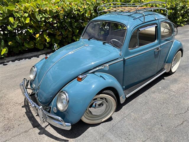 1967 Volkswagen Beetle (CC-1754021) for sale in Boca Raton, Florida