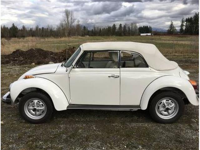 1978 Volkswagen Super Beetle (CC-1750405) for sale in Cadillac, Michigan