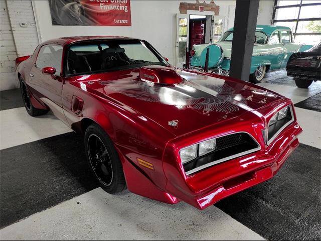 1981 Pontiac Firebird (CC-1754081) for sale in Buffalo, New York