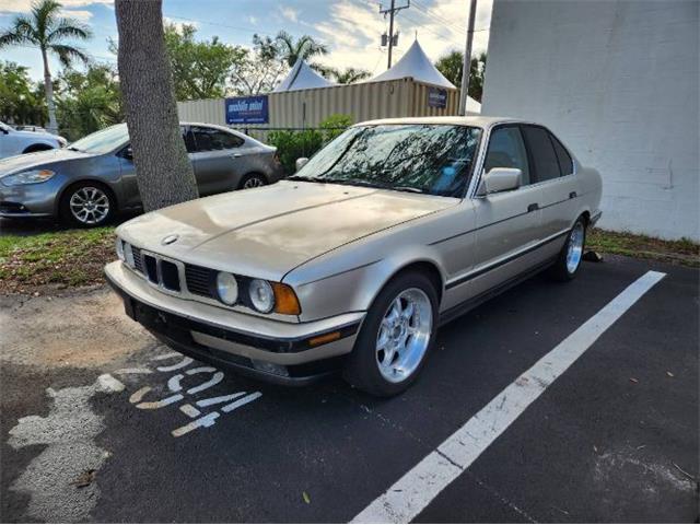 1989 BMW 5 Series (CC-1754211) for sale in Cadillac, Michigan