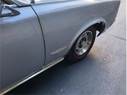 1966 Pontiac GTO (CC-1754390) for sale in Huntingtown, Maryland