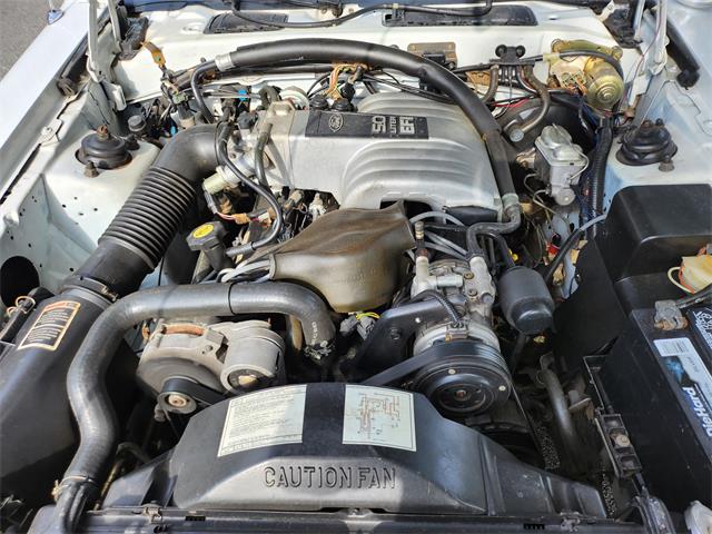 1986 Ford Thunderbird (CC-1754471) for sale in Ashburn, Virginia