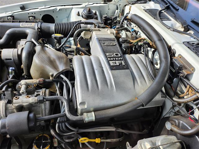 1986 Ford Thunderbird (CC-1754471) for sale in Ashburn, Virginia