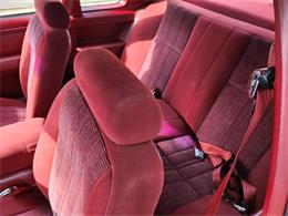 1986 Ford Thunderbird (CC-1754471) for sale in Ashburn, Virginia