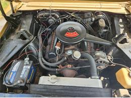 1966 Chevrolet Nova II (CC-1750045) for sale in Cadillac, Michigan