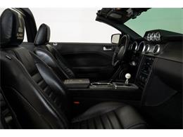 2007 Ford Mustang Shelby Super Snake (CC-1754681) for sale in St. Charles, Missouri