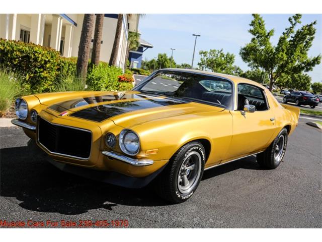 1971 Chevrolet Camaro (CC-1754826) for sale in Fort Myers, Florida