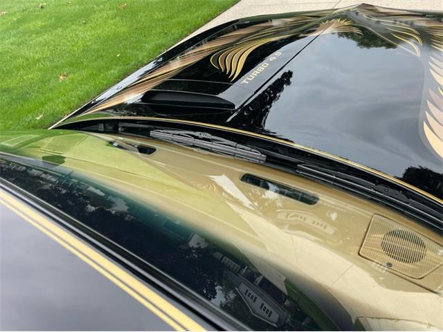 1980 Pontiac Firebird Trans Am (CC-1754839) for sale in Lincoln, Nebraska