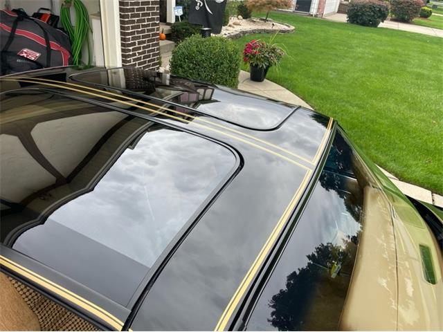 1980 Pontiac Firebird Trans Am (CC-1754839) for sale in Lincoln, Nebraska