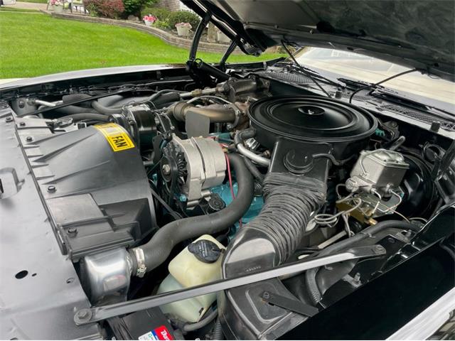 1980 Pontiac Firebird Trans Am (CC-1754839) for sale in Lincoln, Nebraska