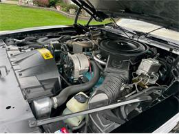 1980 Pontiac Firebird Trans Am (CC-1754839) for sale in Lincoln, Nebraska
