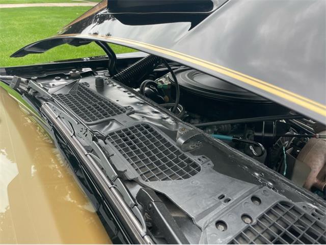 1980 Pontiac Firebird Trans Am (CC-1754839) for sale in Lincoln, Nebraska