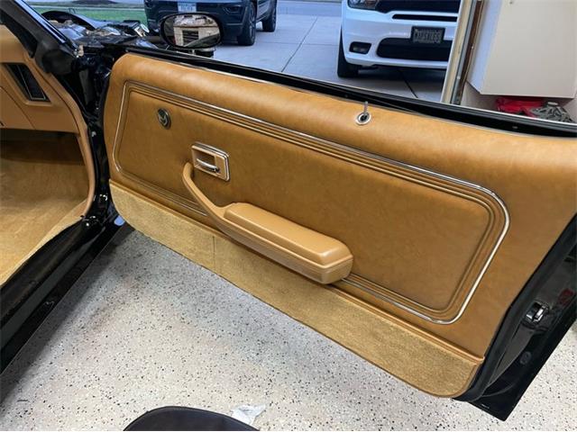 1980 Pontiac Firebird Trans Am (CC-1754839) for sale in Lincoln, Nebraska