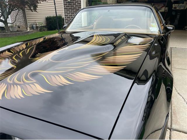 1980 Pontiac Firebird Trans Am (CC-1754839) for sale in Lincoln, Nebraska