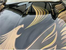 1980 Pontiac Firebird Trans Am (CC-1754839) for sale in Lincoln, Nebraska