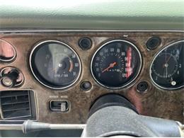 1971 Chevrolet Monte Carlo (CC-1755018) for sale in Cadillac, Michigan