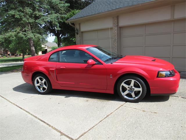 2004 Ford Mustang SVT Cobra (CC-1755808) for sale in Troy, Michigan