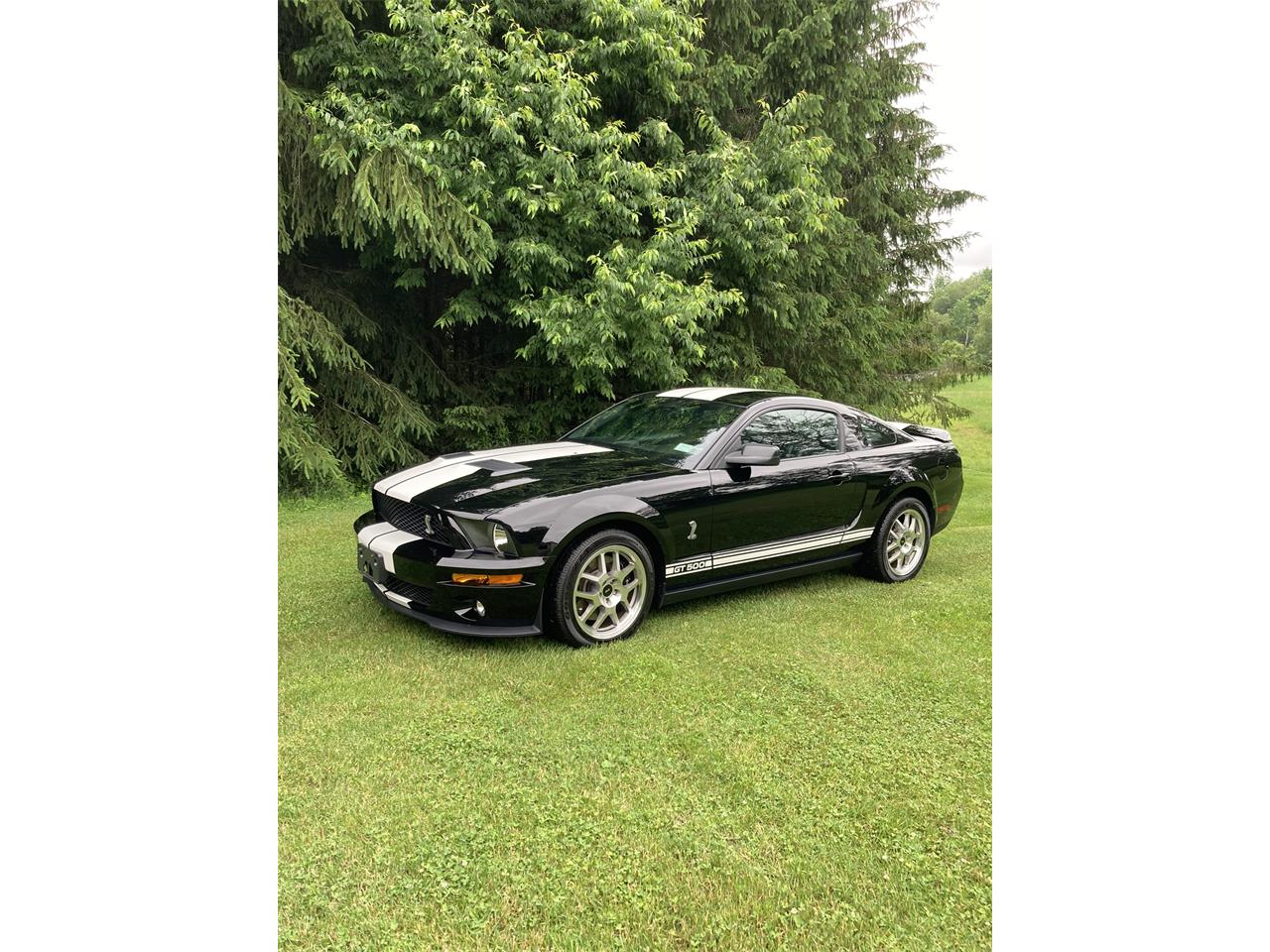 2007 Ford Mustang Shelby GT500 in Boonville, New York