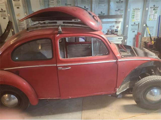 1961 Volkswagen Beetle (CC-1755941) for sale in Cadillac, Michigan