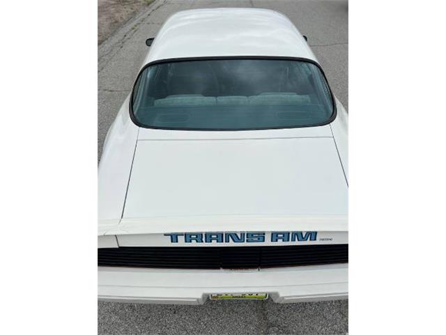 1979 Pontiac Firebird Trans Am (CC-1755943) for sale in Cadillac, Michigan