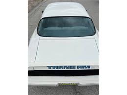 1979 Pontiac Firebird Trans Am (CC-1755943) for sale in Cadillac, Michigan