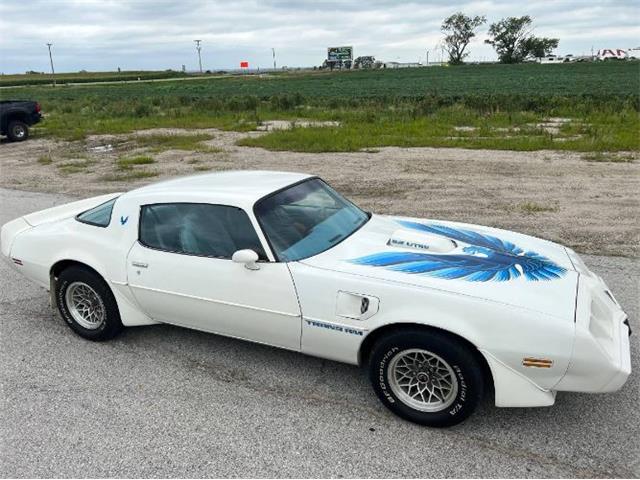 1979 Pontiac Firebird Trans Am (CC-1755943) for sale in Cadillac, Michigan
