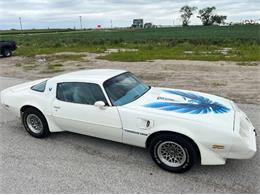 1979 Pontiac Firebird Trans Am (CC-1755943) for sale in Cadillac, Michigan