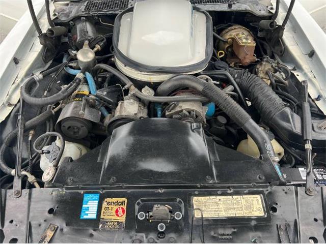 1979 Pontiac Firebird Trans Am (CC-1755943) for sale in Cadillac, Michigan