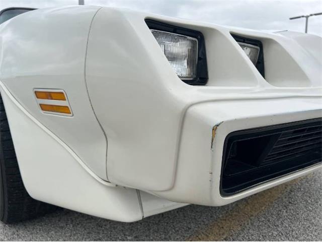 1979 Pontiac Firebird Trans Am (CC-1755943) for sale in Cadillac, Michigan