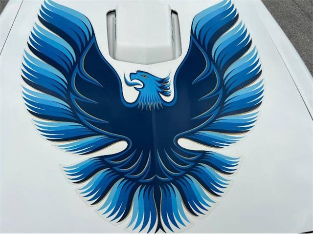 1979 Pontiac Firebird Trans Am (CC-1755943) for sale in Cadillac, Michigan