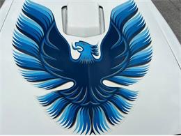 1979 Pontiac Firebird Trans Am (CC-1755943) for sale in Cadillac, Michigan