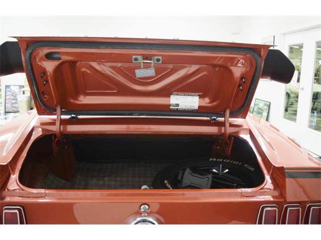 1969 Ford Mustang Mach 1 (CC-1756080) for sale in Fredericksburg, Virginia