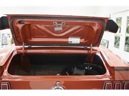 1969 Ford Mustang Mach 1 (CC-1756080) for sale in Fredericksburg, Virginia